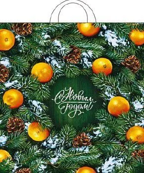 пакет петл. шурш. 38х42 Новогодний базар НГ от производителя в Кирове